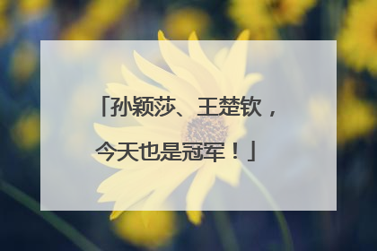 孙颖莎、王楚钦，今天也是冠军！