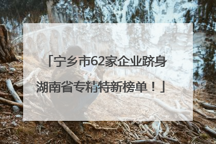 宁乡市62家企业跻身湖南省专精特新榜单！