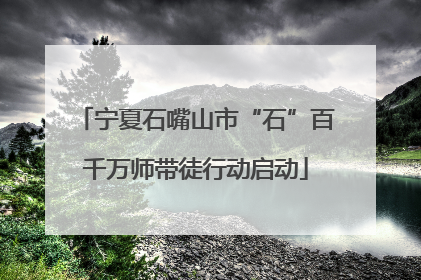 宁夏石嘴山市“石”百千万师带徒行动启动