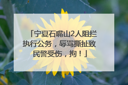 宁夏石嘴山2人阻拦执行公务，辱骂撕扯致民警受伤，拘！