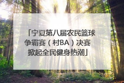 宁夏第八届农民篮球争霸赛（村BA）决赛掀起全民健身热潮