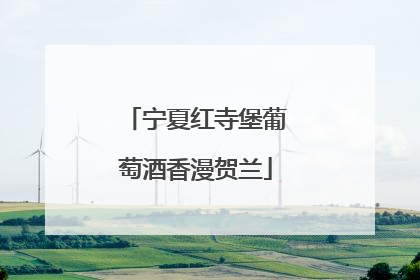 宁夏红寺堡葡萄酒香漫贺兰