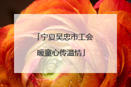 宁夏吴忠市工会暖童心传温情