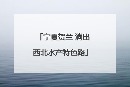 宁夏贺兰 淌出西北水产特色路