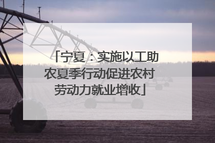 宁夏：实施以工助农夏季行动促进农村劳动力就业增收