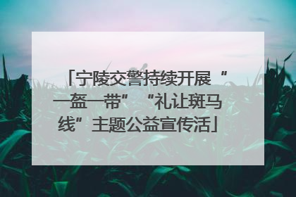 宁陵交警持续开展“一盔一带”“礼让斑马线”主题公益宣传活