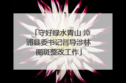 守好绿水青山 漳浦县委书记督导涉林图斑整改工作