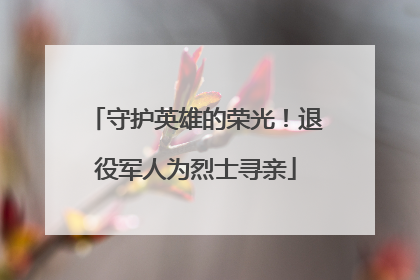 守护英雄的荣光！退役军人为烈士寻亲