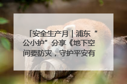 安全生产月｜浦东“公小护”分享《地下空间要防灾，守护平安有我在》安全谣
