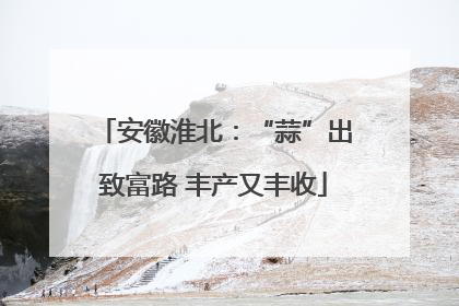 安徽淮北：“蒜”出致富路 丰产又丰收