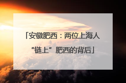 安徽肥西：两位上海人“链上”肥西的背后