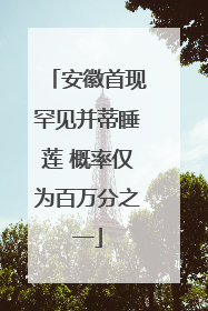 安徽首现罕见并蒂睡莲 概率仅为百万分之一