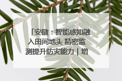 安徽：智能感知融入田间地头 精密监测提升防灾能力｜增发国债气象项目落地见效系列报道