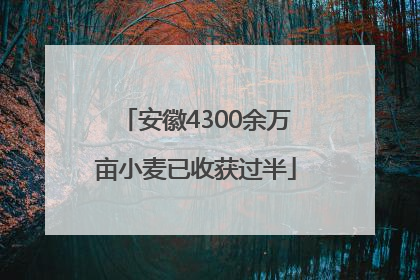安徽4300余万亩小麦已收获过半