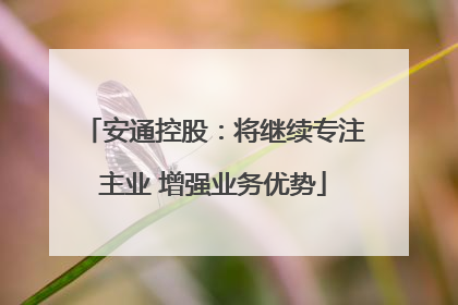 安通控股：将继续专注主业 增强业务优势