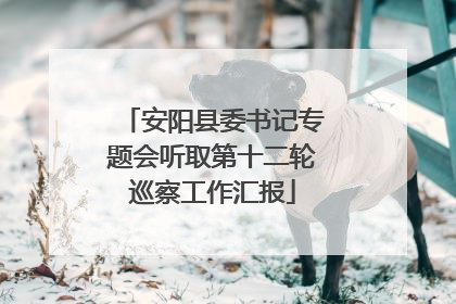 安阳县委书记专题会听取第十二轮巡察工作汇报