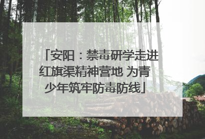 安阳：禁毒研学走进红旗渠精神营地 为青少年筑牢防毒防线
