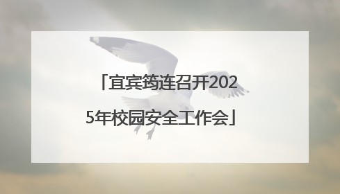 宜宾筠连召开2025年校园安全工作会