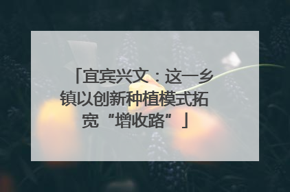 宜宾兴文：这一乡镇以创新种植模式拓宽“增收路”