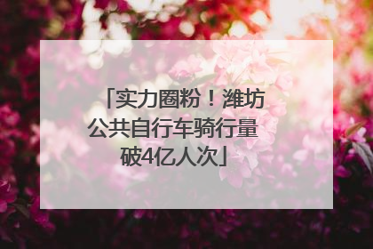 实力圈粉！潍坊公共自行车骑行量破4亿人次