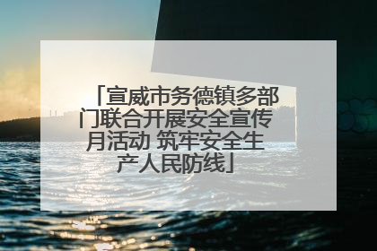 宣威市务德镇多部门联合开展安全宣传月活动 筑牢安全生产人民防线