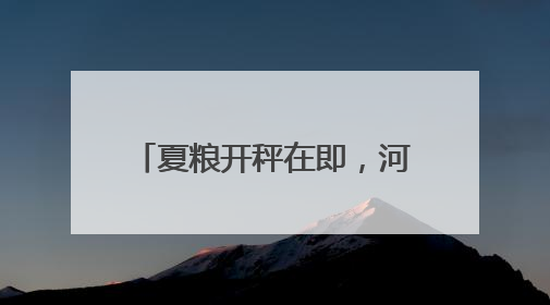 夏粮开秤在即，河北收购准备就绪