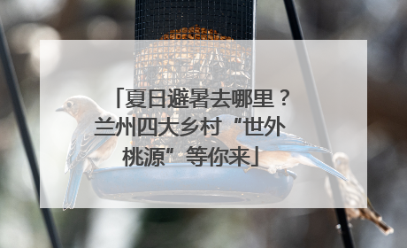夏日避暑去哪里？兰州四大乡村“世外桃源”等你来