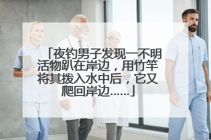 夜钓男子发现一不明活物趴在岸边，用竹竿将其拨入水中后，它又爬回岸边……