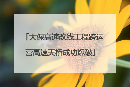 大保高速改线工程跨运营高速天桥成功爆破