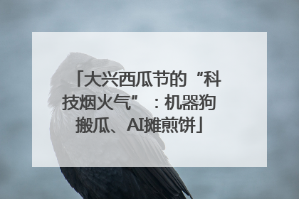 大兴西瓜节的“科技烟火气”：机器狗搬瓜、AI摊煎饼