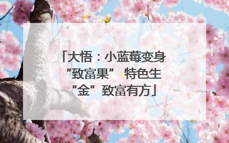 大悟：小蓝莓变身“致富果” 特色生“金”致富有方