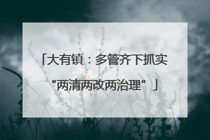 大有镇：多管齐下抓实“两清两改两治理”