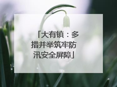 大有镇：多措并举筑牢防汛安全屏障