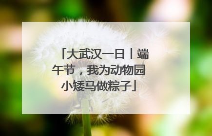 大武汉一日丨端午节，我为动物园小矮马做粽子