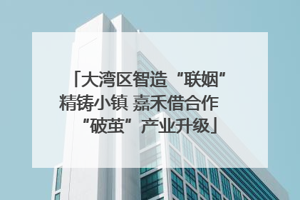 大湾区智造“联姻”精铸小镇 嘉禾借合作“破茧”产业升级