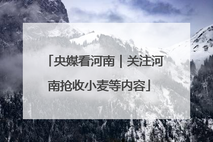 央媒看河南｜关注河南抢收小麦等内容