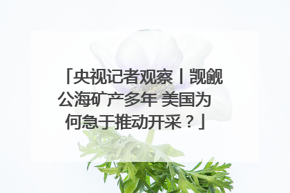 央视记者观察丨觊觎公海矿产多年 美国为何急于推动开采？