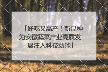 好吃又高产！新品种为安徽蔬菜产业高质发展注入科技动能