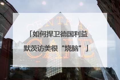 如何捍卫德国利益 默茨访美很“烧脑”