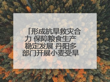 形成抗旱救灾合力 保障粮食生产稳定发展 丹阳多部门开展小麦受旱情况调研