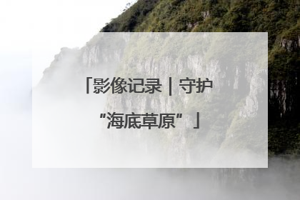 影像记录｜守护“海底草原”