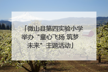 微山县第四实验小学举办“童心飞扬 筑梦未来”主题活动
