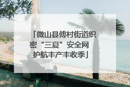 微山县傅村街道织密“三夏”安全网 护航丰产丰收季