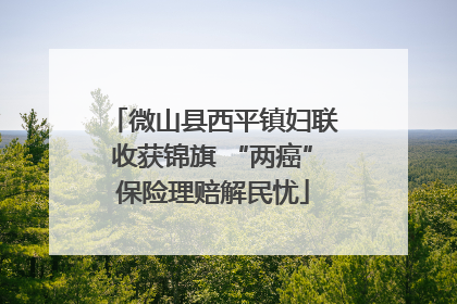 微山县西平镇妇联收获锦旗 “两癌”保险理赔解民忧
