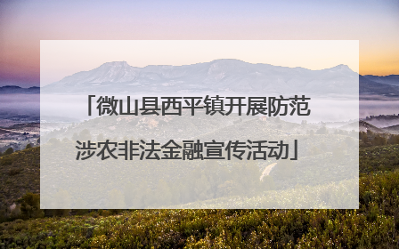 微山县西平镇开展防范涉农非法金融宣传活动