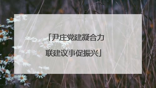 尹庄党建凝合力 联建议事促振兴