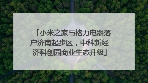 小米之家与格力电器落户济南起步区，中科新经济科创园商业生态升级
