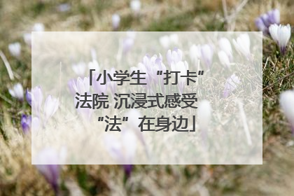 小学生“打卡”法院 沉浸式感受“法”在身边