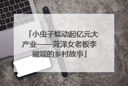 小虫子蠕动起亿元大产业——菏泽女老板李端端的乡村故事
