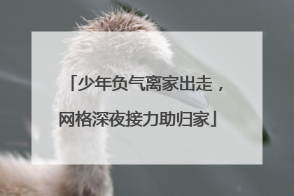 少年负气离家出走，网格深夜接力助归家